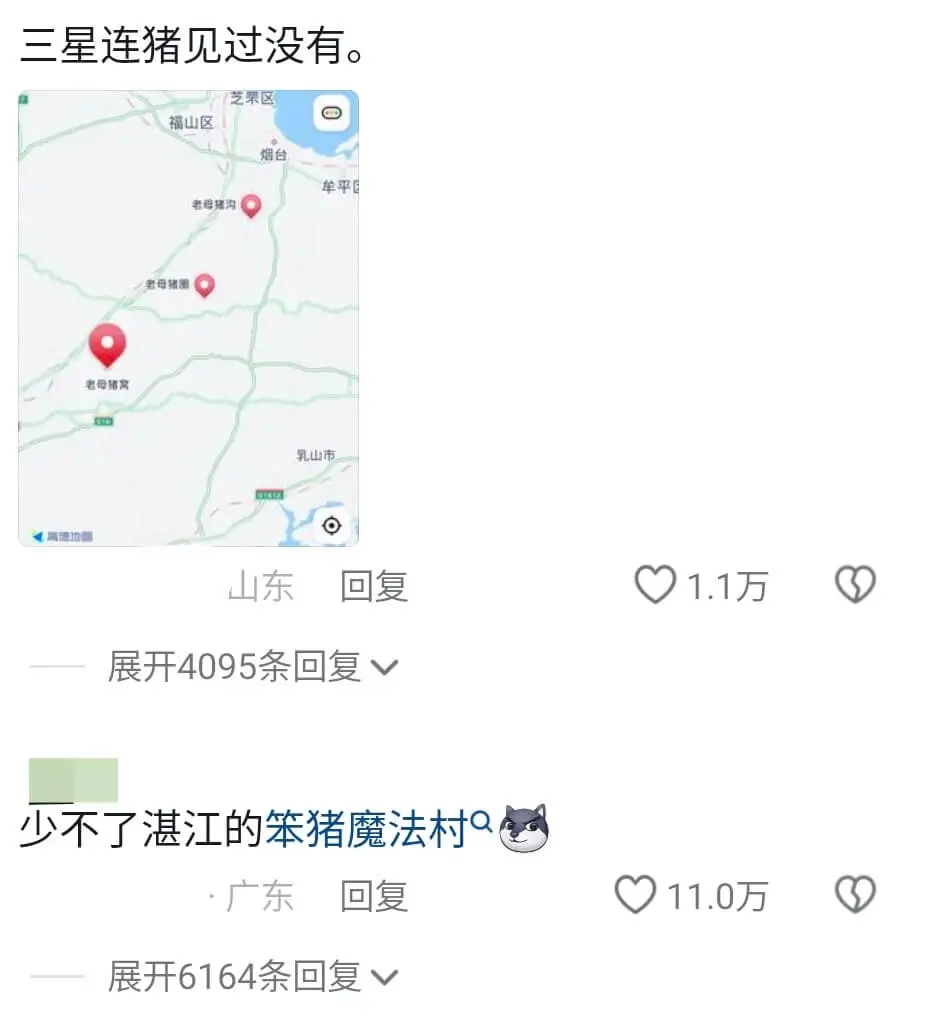 三星连猪见过没有芝票区福山区烟台老母猪沟老母猪窝乳山市山东回