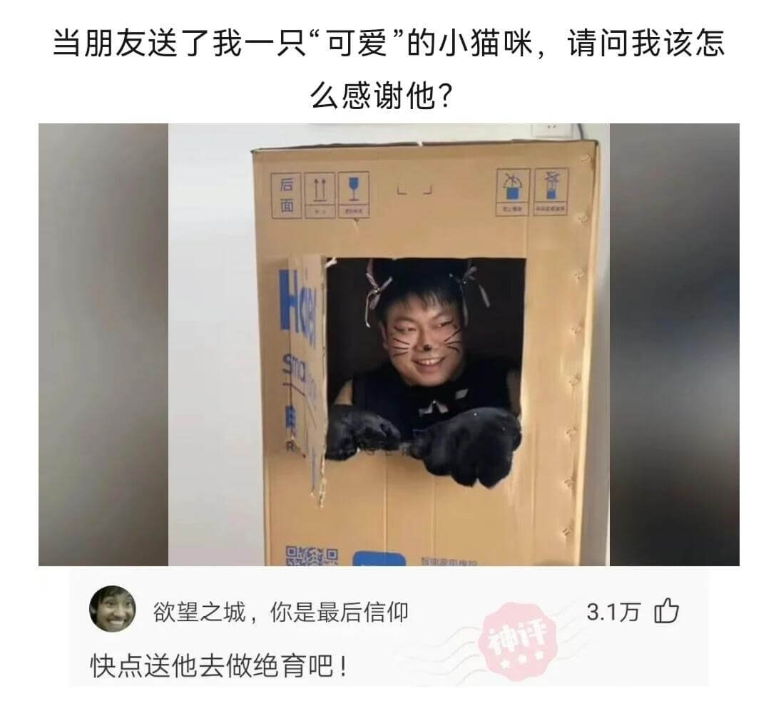 当朋友送了我一只“可爱”的小猫咪，请问我该怎么感谢他?后面欲