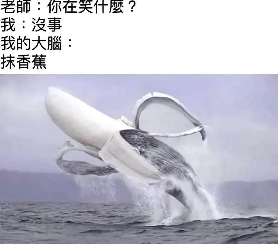 老肺：你在笑什磨？我：没事我的大脑：抹香蕉