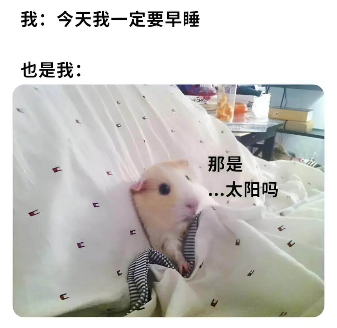 我:今天我一定要早睡。我:也是我?我:那是太阳吗?