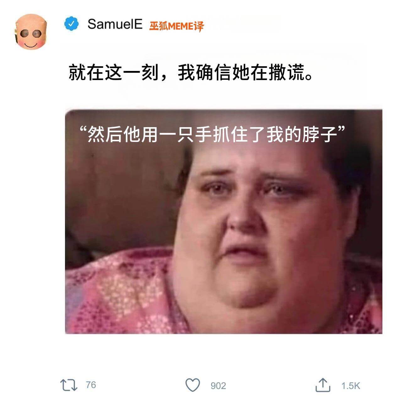 SamuelE巫狐MEME译就在这一刻，我确信她在撒谎。然后