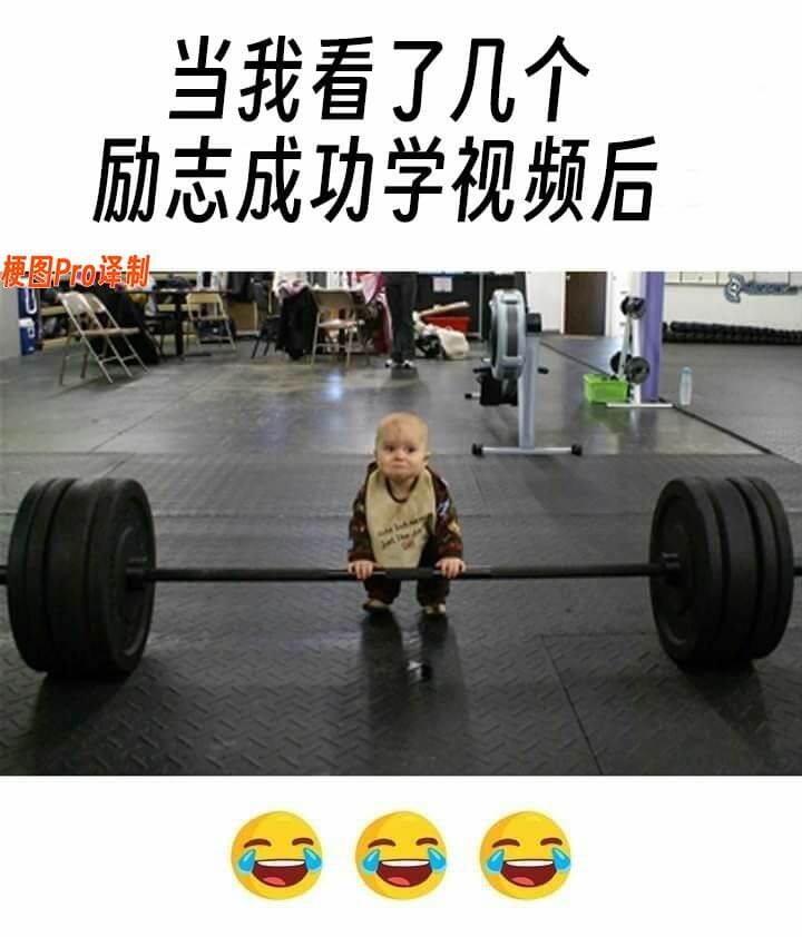 当我看了几个励志成功学视频后梗图Pro译制