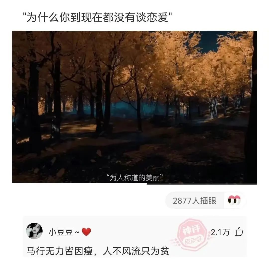 为什么你到现在都没有谈恋爱“为人称道的美丽2877人插眼小豆