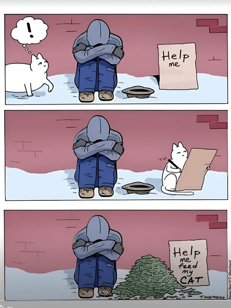 HelpmeHelpmeuayoydmySeCATT.SHI