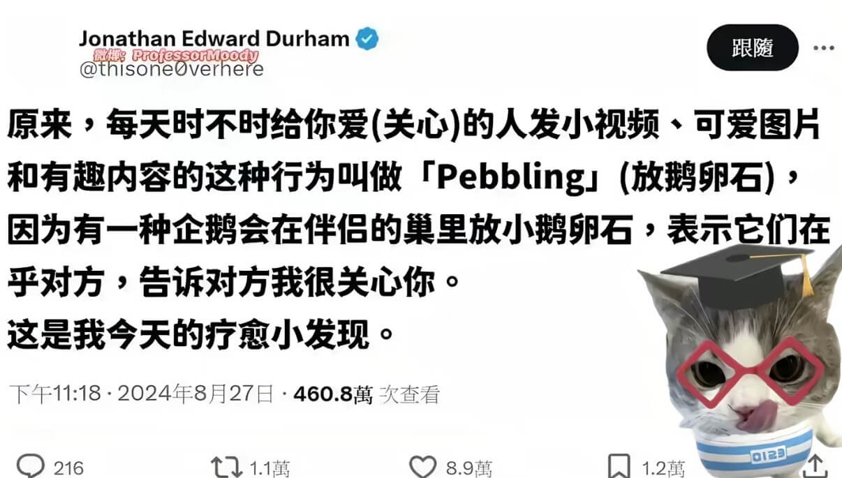 JonathanEdwardDurham跟随Professo