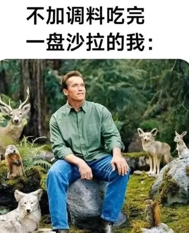 不加调料吃完一盘沙拉的我：