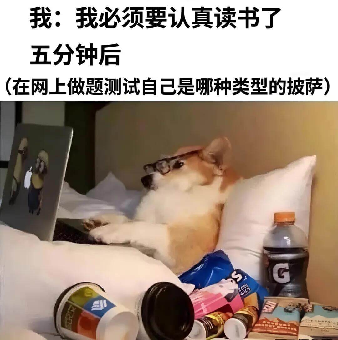 我：我必须要认真读书了。五分钟后……（在网上做题，测试自己是