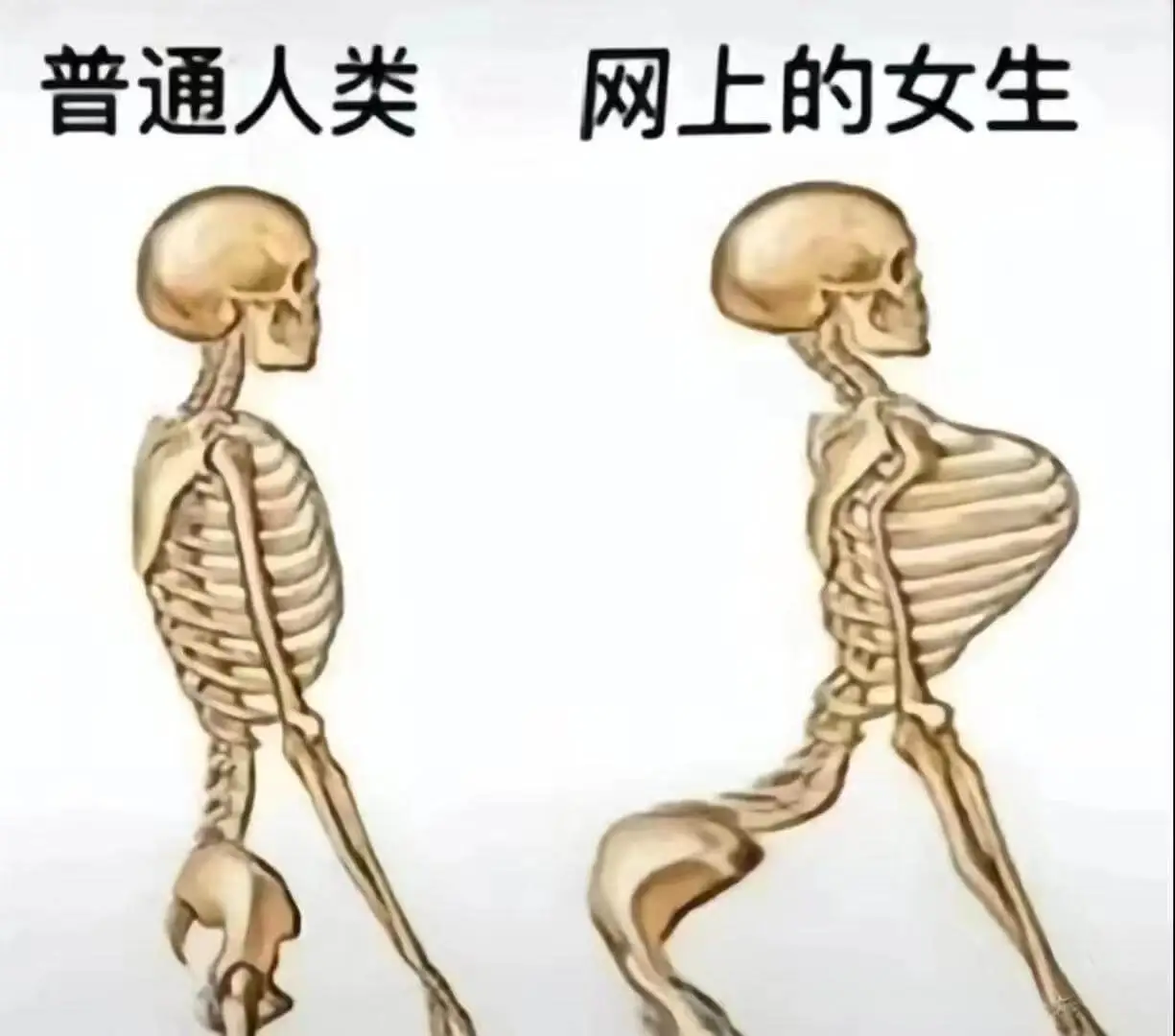 普通人类网上的女生