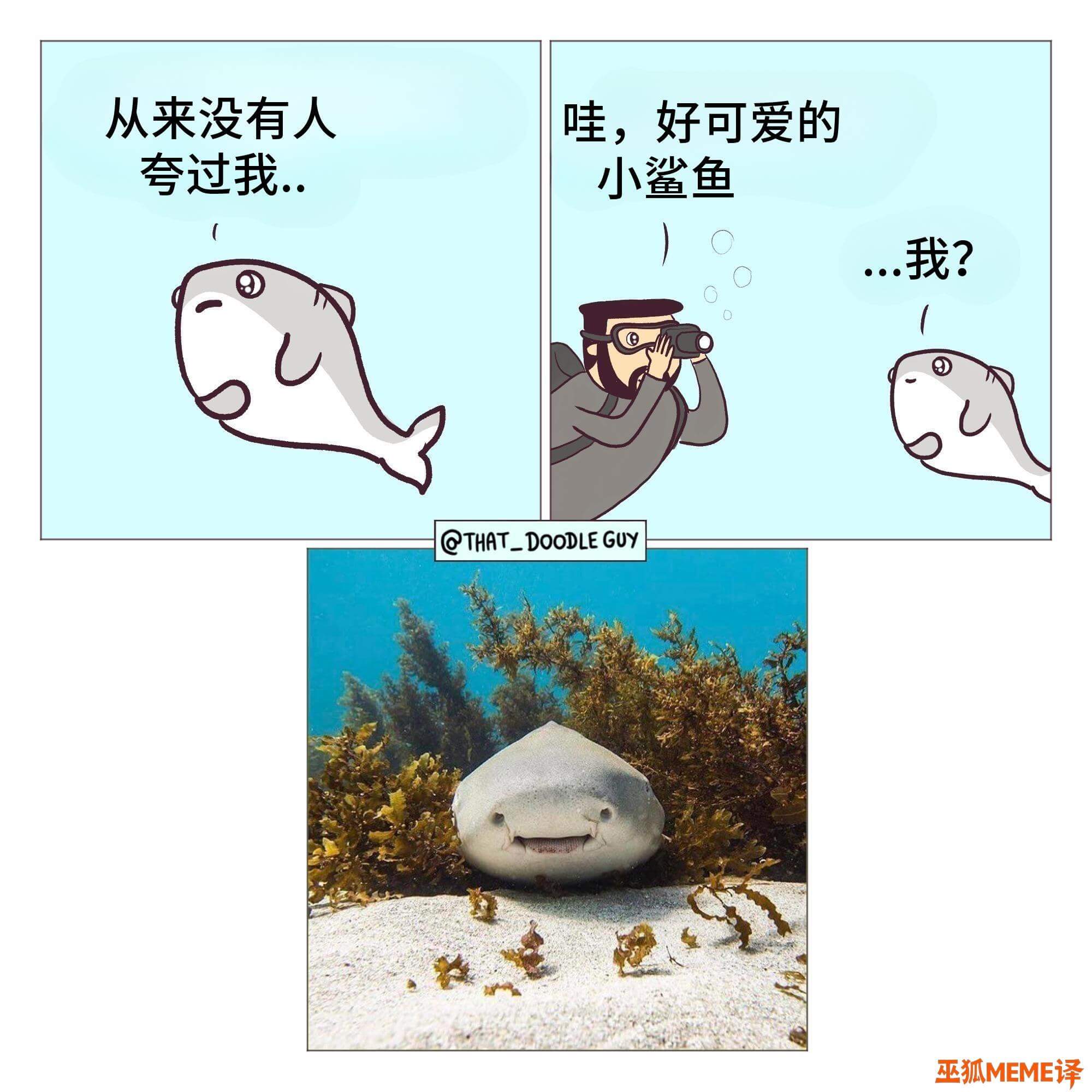 从来没有人夸过我哇，好可爱的...小鲨鱼...我?@THAT