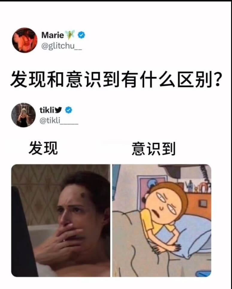 Marie@glitchu发现和意识到有什么区别？tikli