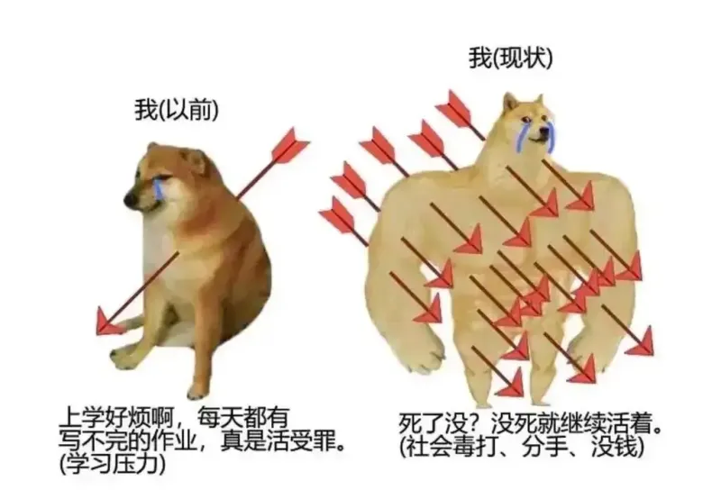 我(现状)我(以前)上学好烦啊，每天都有写不完的作业，真是活
