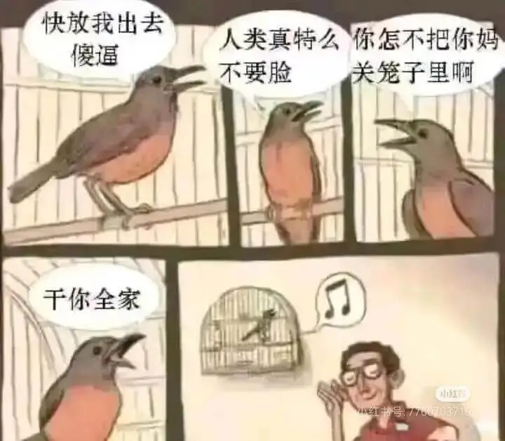 快放我出去人类真特么你怎不把你妈关笼子里啊干你全家小红书小红