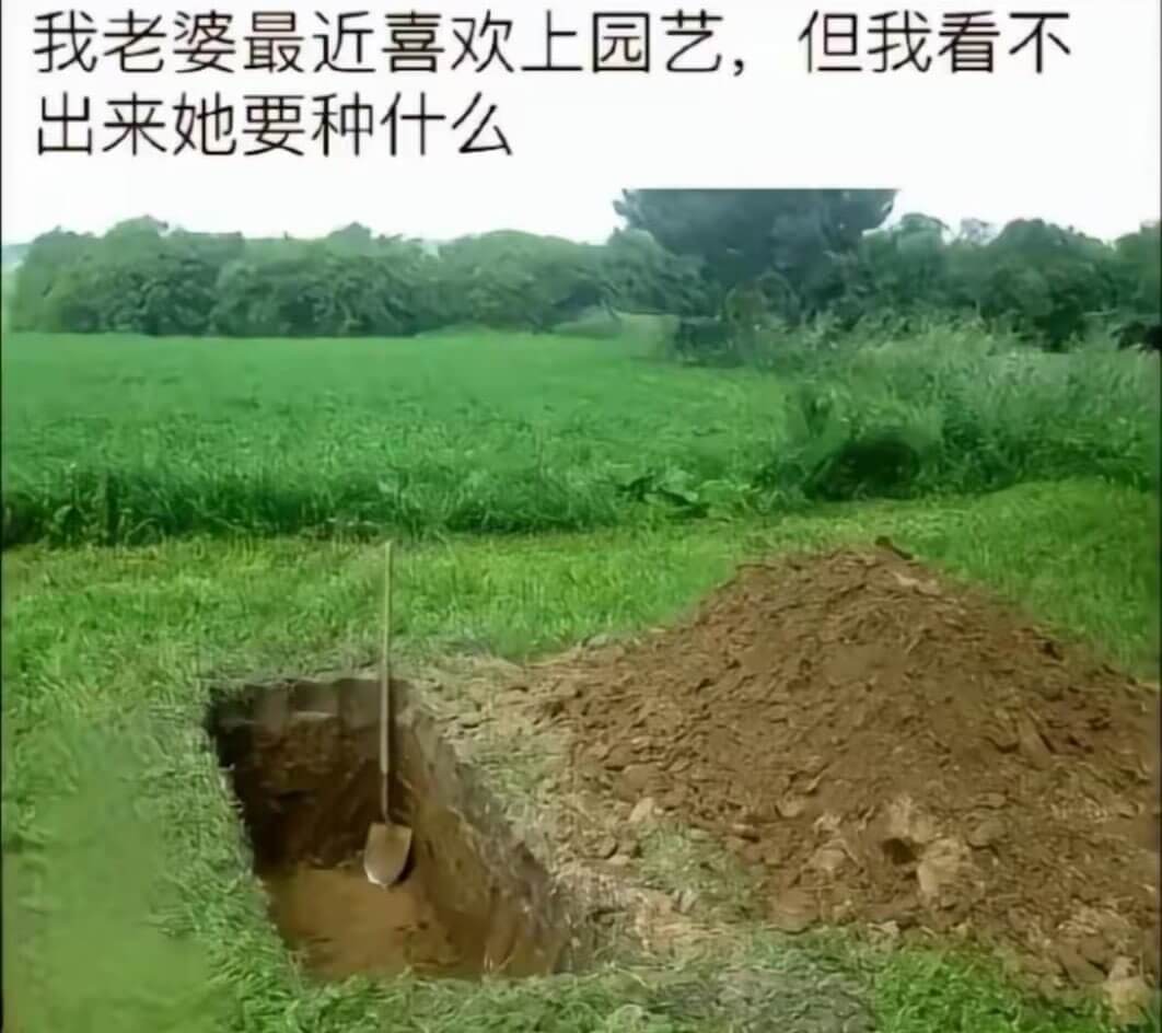我老婆最近喜欢上园艺，但我看不出来她要种什么。