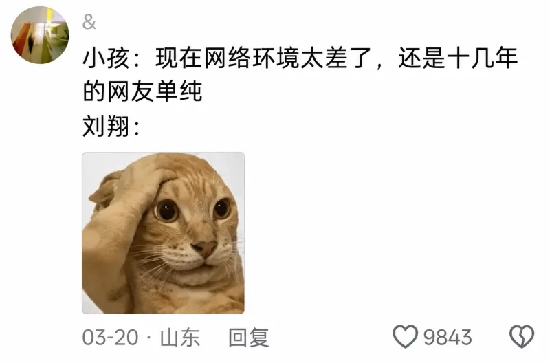 小孩：现在网络环境太差了，还是十几年的网友单纯。刘翔：03-