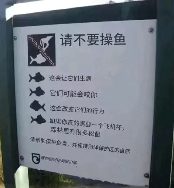 请不要操鱼，这会让它们生病，它们可能会咬你，这会改变它们的行