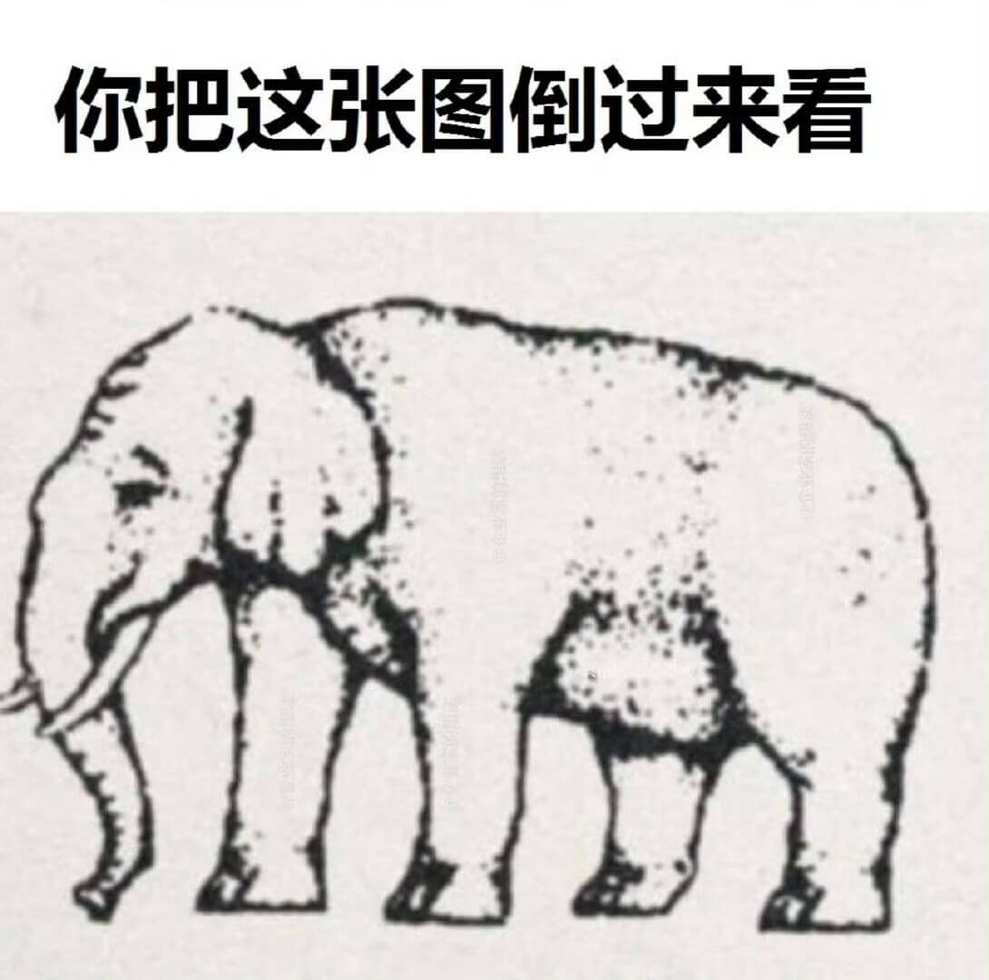 你把这张图倒过来看