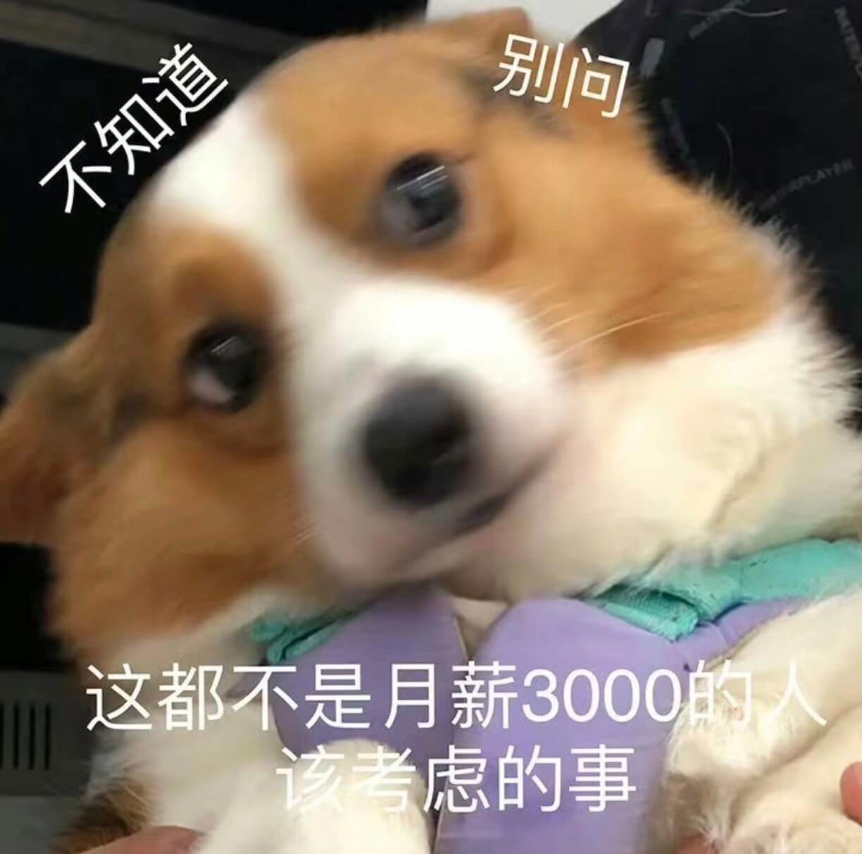 别问不知道这都不是月薪3000的人该考虑的事