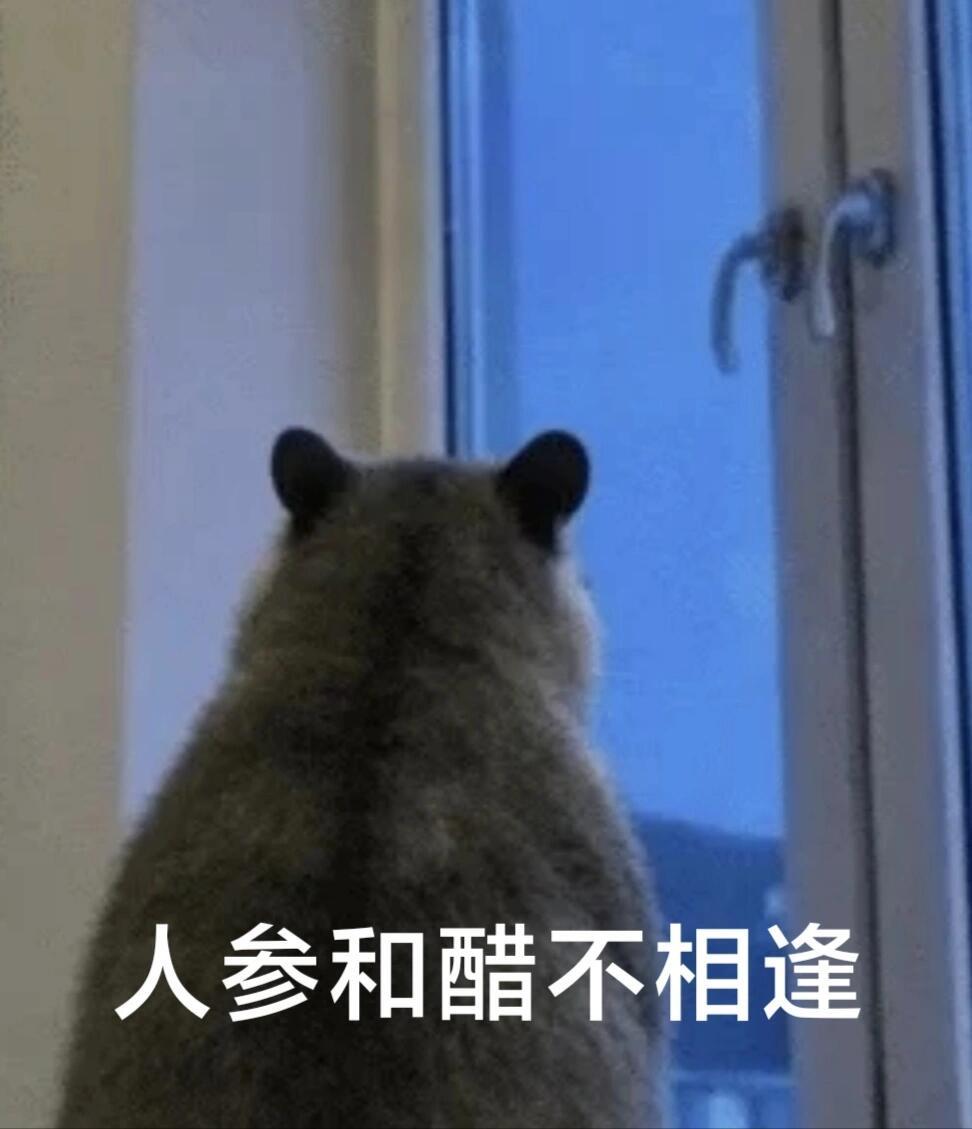 人参和醋不相逢