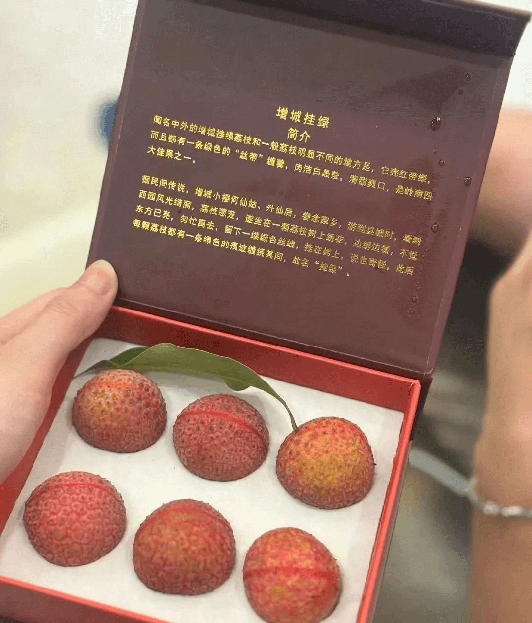 增城挂绿闻名中外的增城挂绿荔枝和一般荔枝明显不同的地方是，它