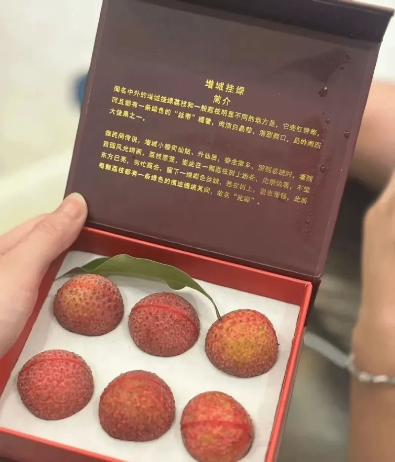 增城挂绿闻名中外的增城挂绿荔枝和一般荔枝明显不同的地方是，它