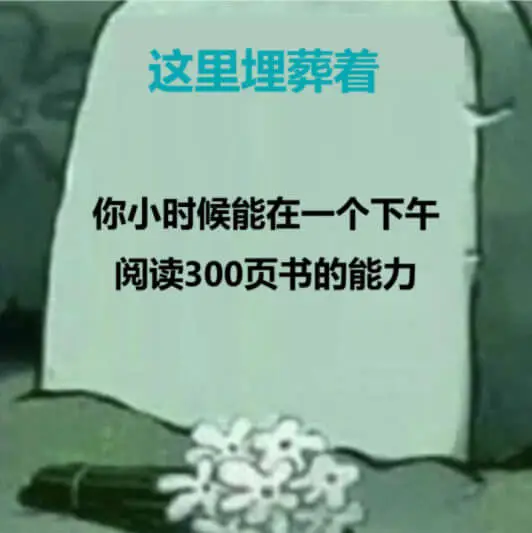 这里埋葬着你小时候能在一个下午阅读300页书的能力