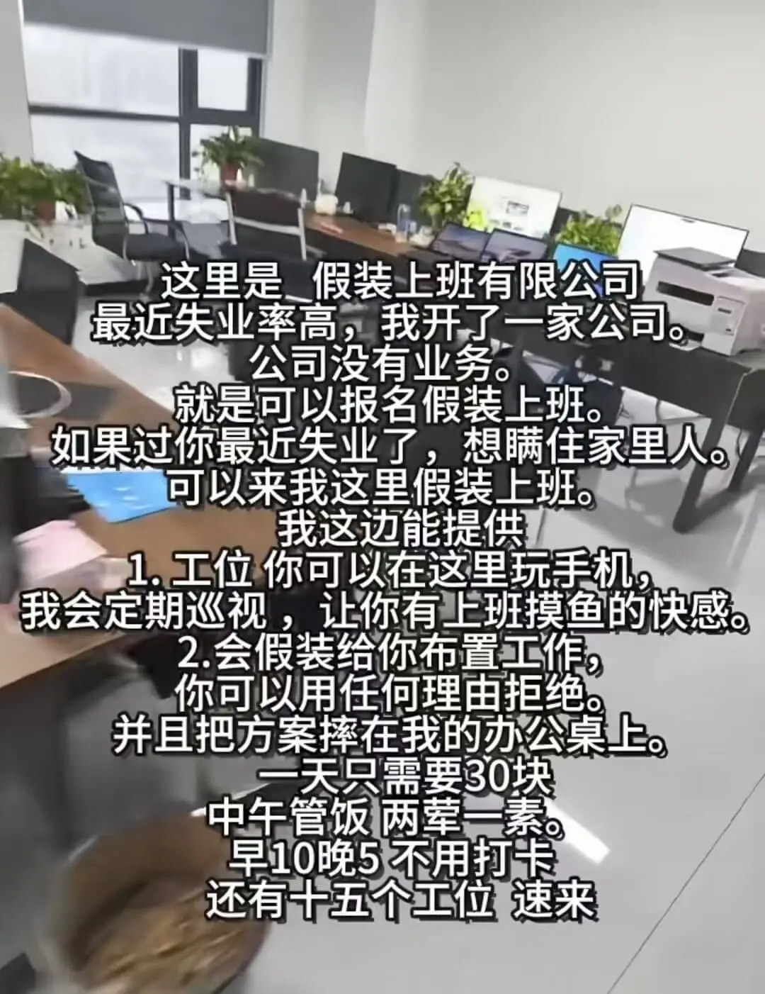 这里是假装上班有限公司。最近失业率高,我开了一家公司,公司没
