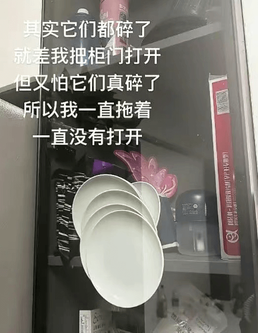 其实它们都碎了就差我抽柜门打开但又怕它们真碎了所以我一直拖着