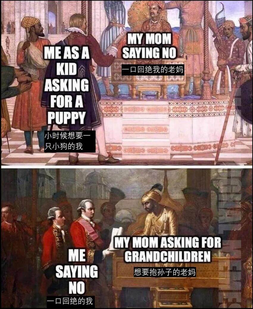 MYMOMMEASKINGFORAPUPPYSAYINGNO