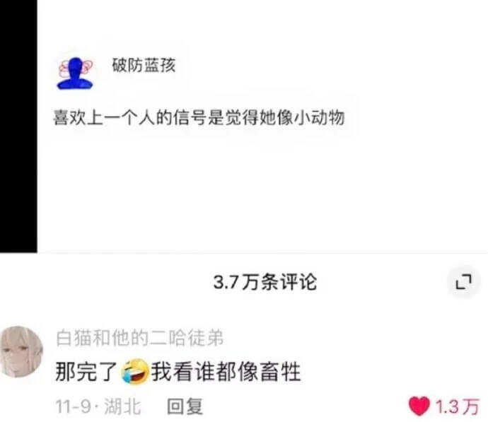 破防蓝孩喜欢上一个人的信号是觉得她像小动物3.7万条评论白猫