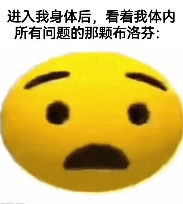 进入我身体后，看着我体内的那颗布洛芬：