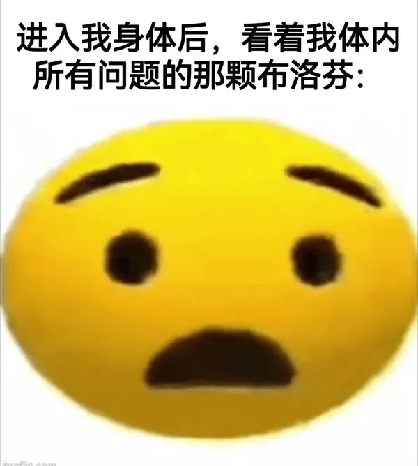 进入我身体后，看着我体内的那颗布洛芬：