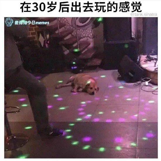 在30岁后出去玩的感觉微博:@今日memes