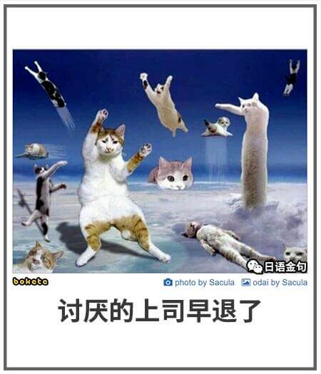 日语金句boketophotobySaculaodaibyS
