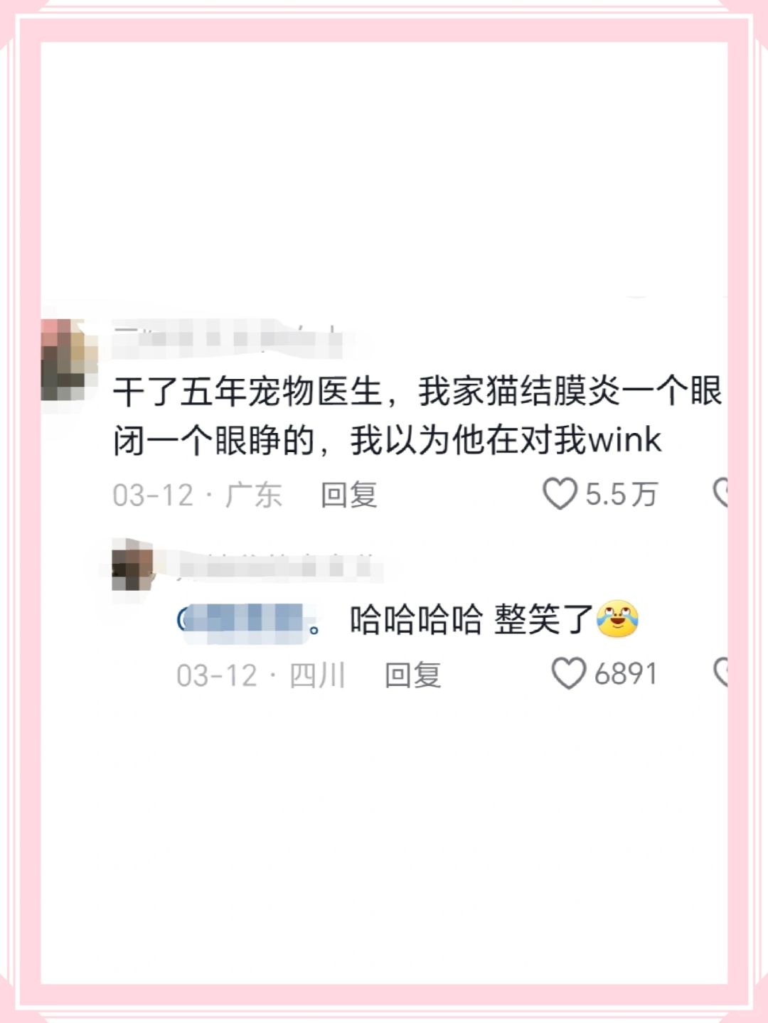 干了五年宠物医生,我家猫结膜炎一个眼闭一个眼睁的,我以为他在