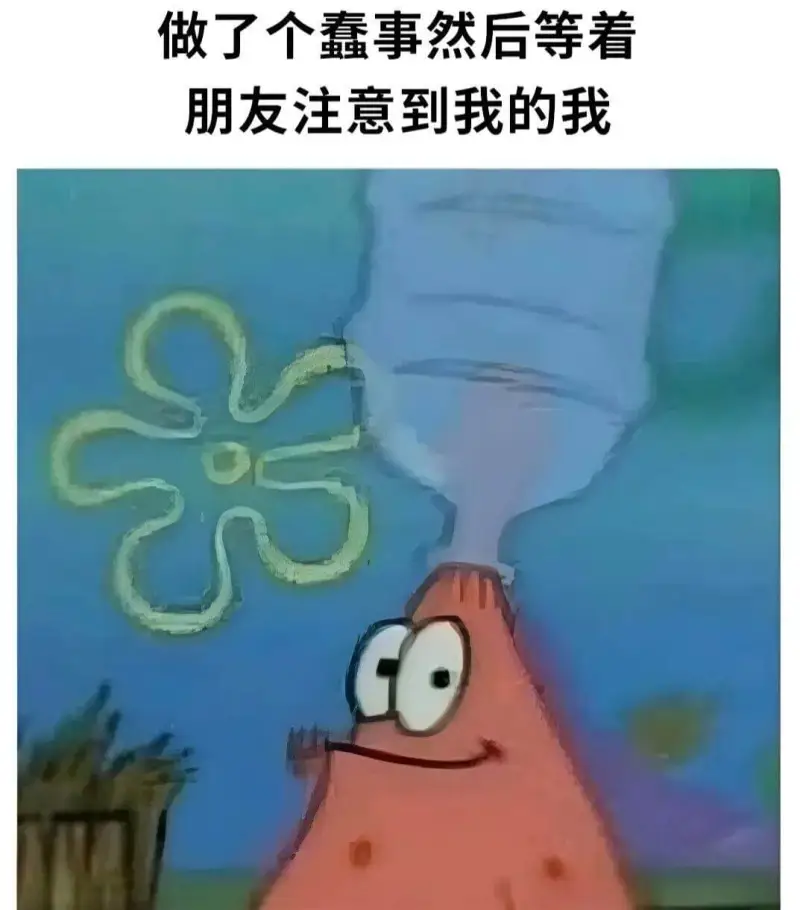 做了个蠢事然后等着朋友注意到我的我