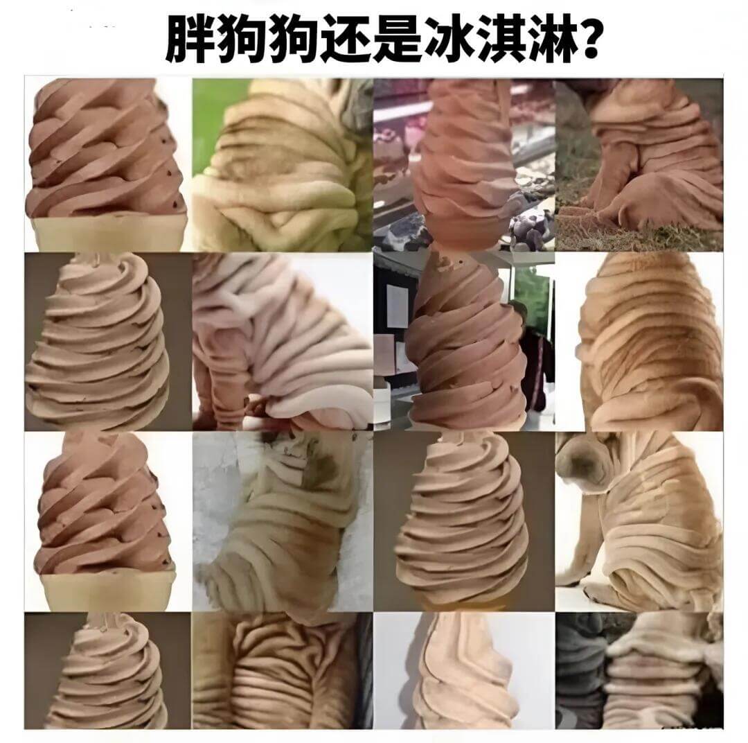 胖狗狗还是冰淇淋？