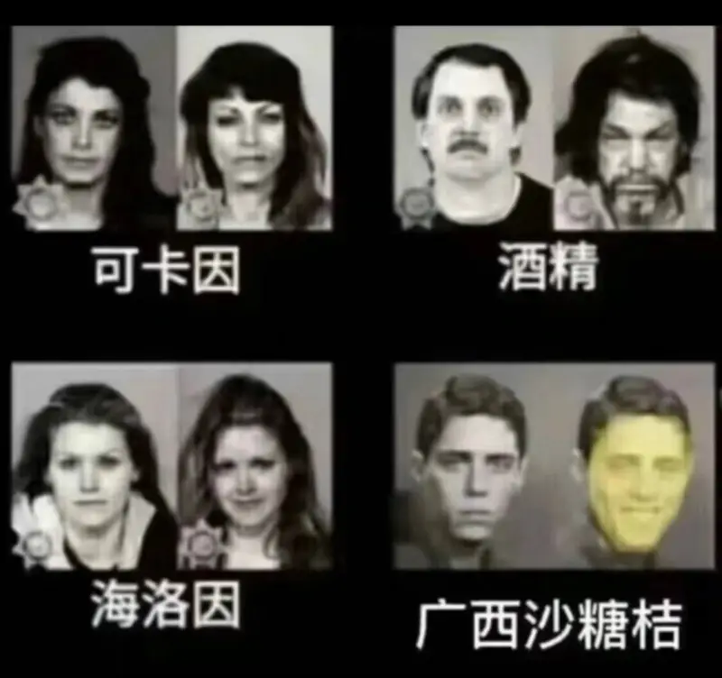 酒精可卡因海洛因广西沙糖桔