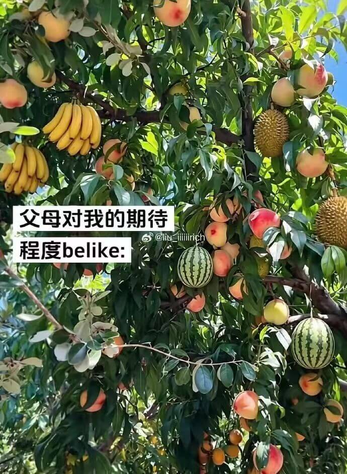父母对我的期待程度belike：