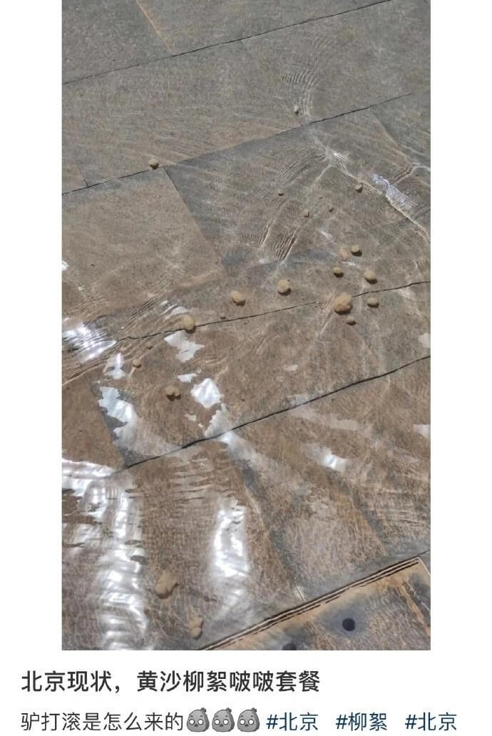 北京现状，黄沙柳絮啵啵套餐驴打滚是怎么来的北京柳絮北京