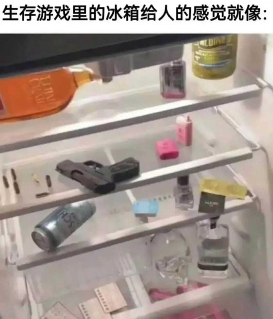生存游戏里的冰箱给人的感觉就像