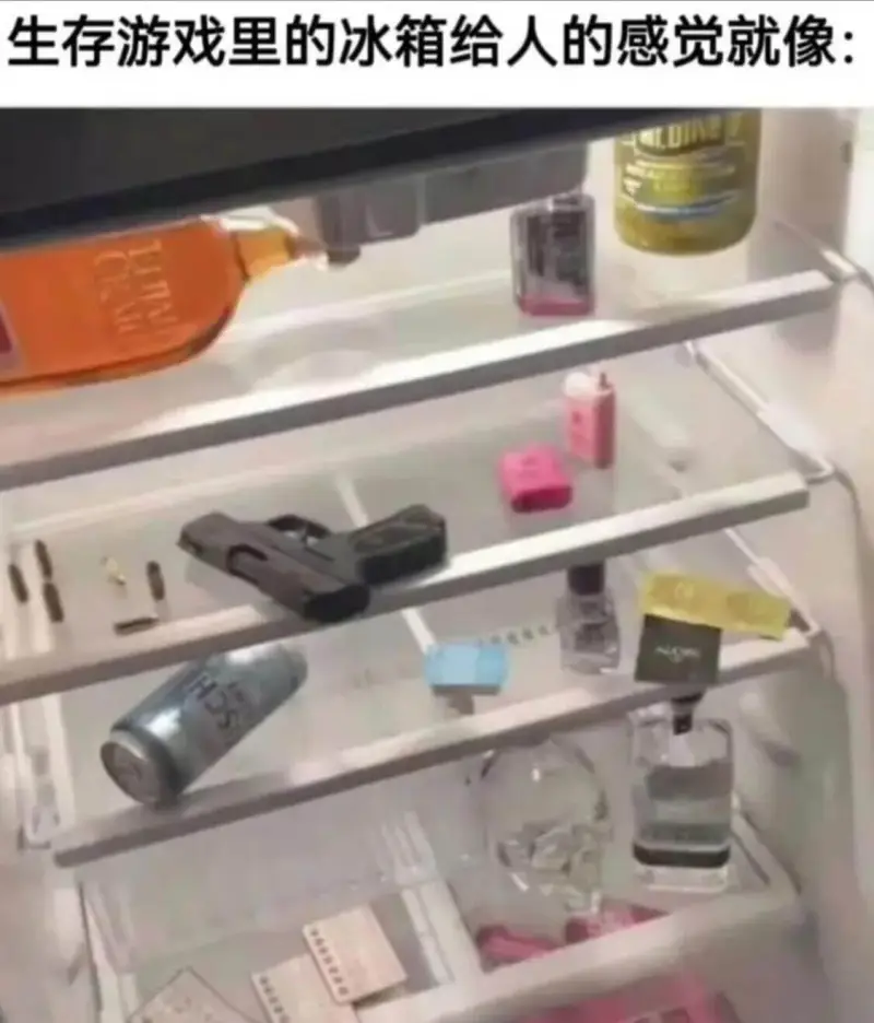生存游戏里的冰箱给人的感觉就像