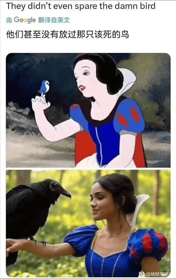 Theydidntevensparethedamnbird由