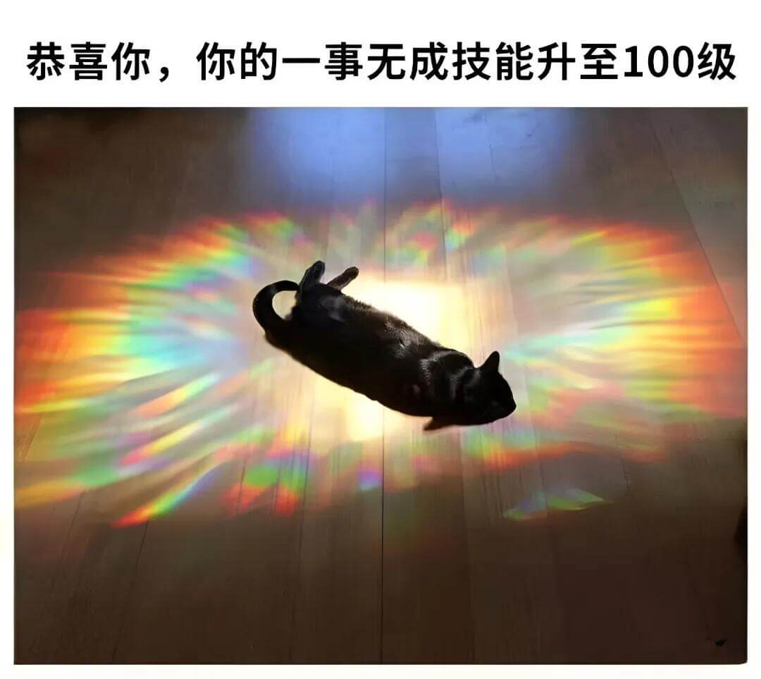 恭喜你，你的一事无成技能升至100级