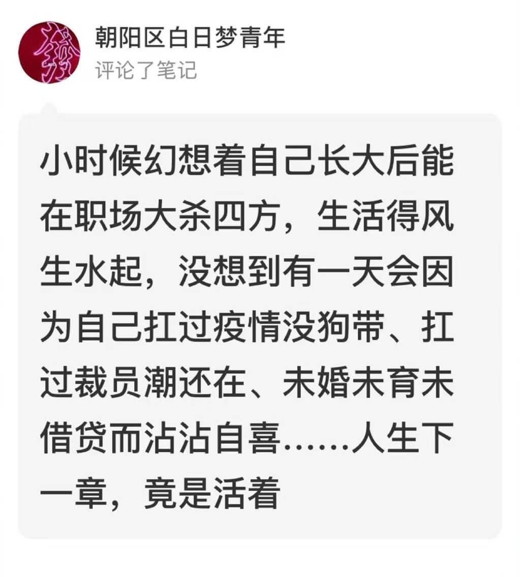 朝阳区白日梦青年评论了笔记小时候幻想看自己长大后能在职场大杀