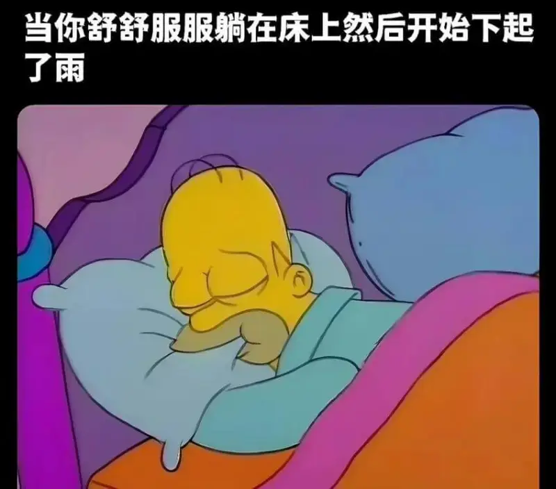 当你舒舒服服躺在床上然后开始下起了雨