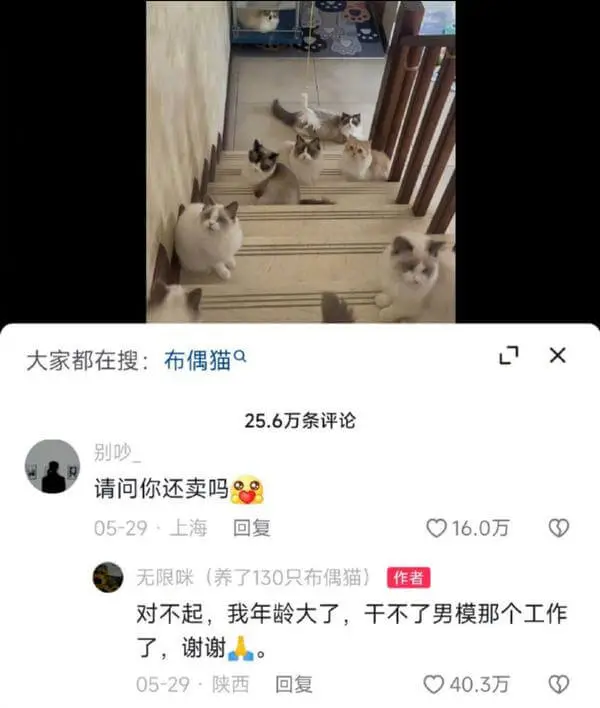 0大家都在搜:布偶猫X25.6万条评论别吵请问你还卖吗05-