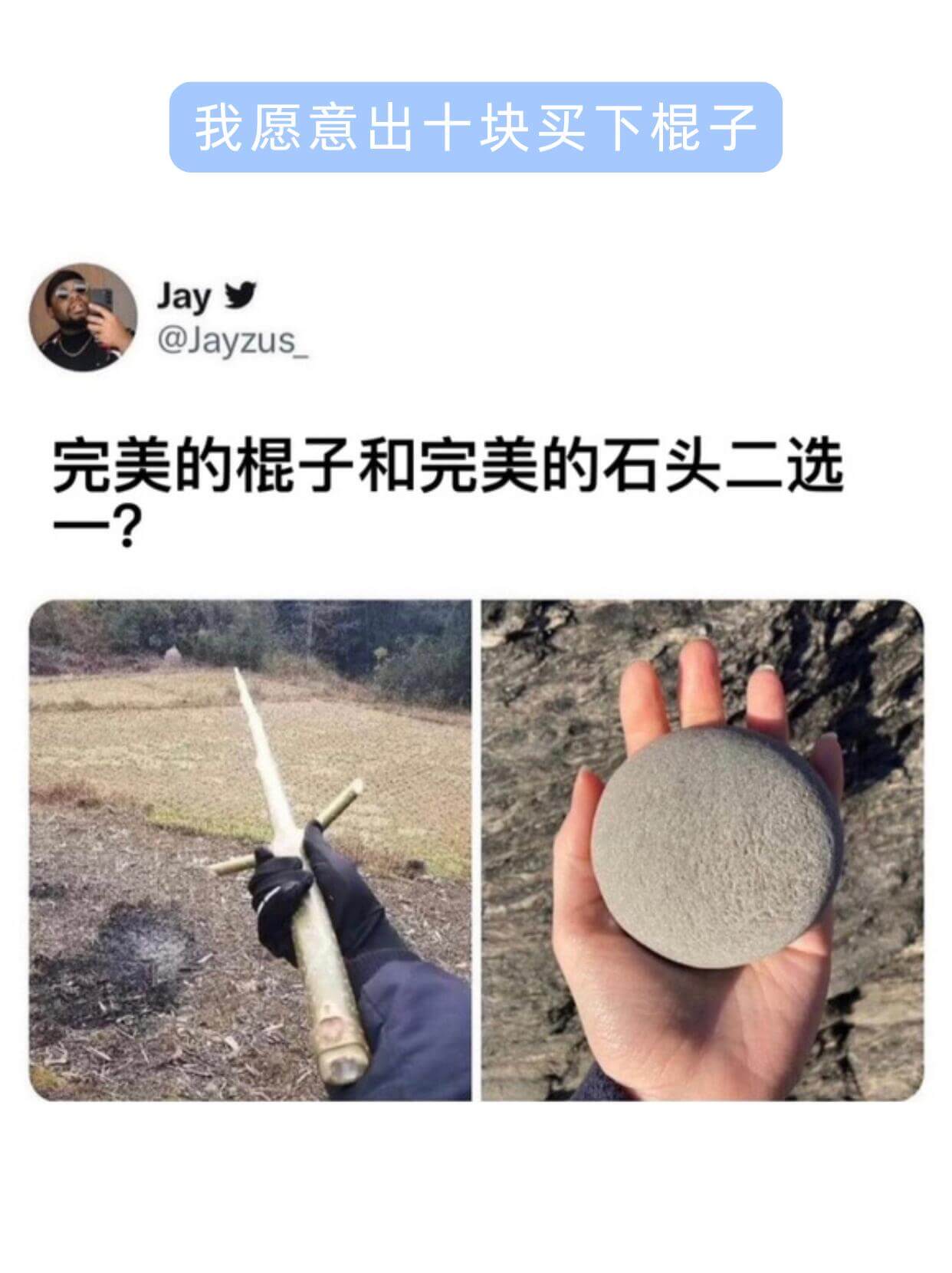 我愿意出十块买下棍子Jay@Jayzus完美的棍子和完美的石