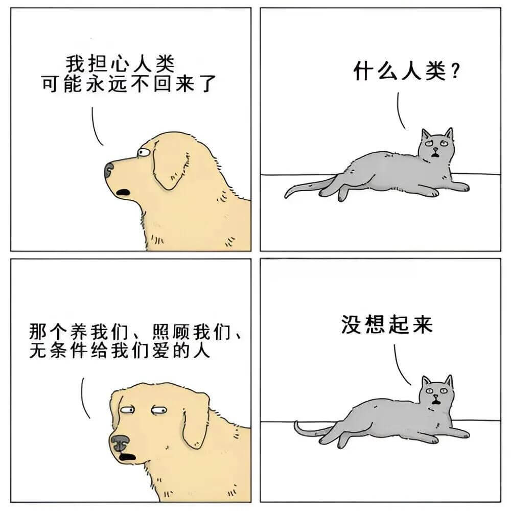 我担心人类什么人类？可能永远不回来了没想起来那个养我们、照顾
