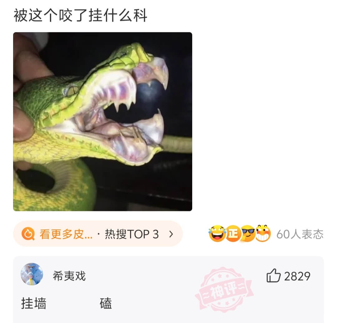 被这个咬了挂什么科看更多皮肤...·热搜正60人表态希夷戏挂