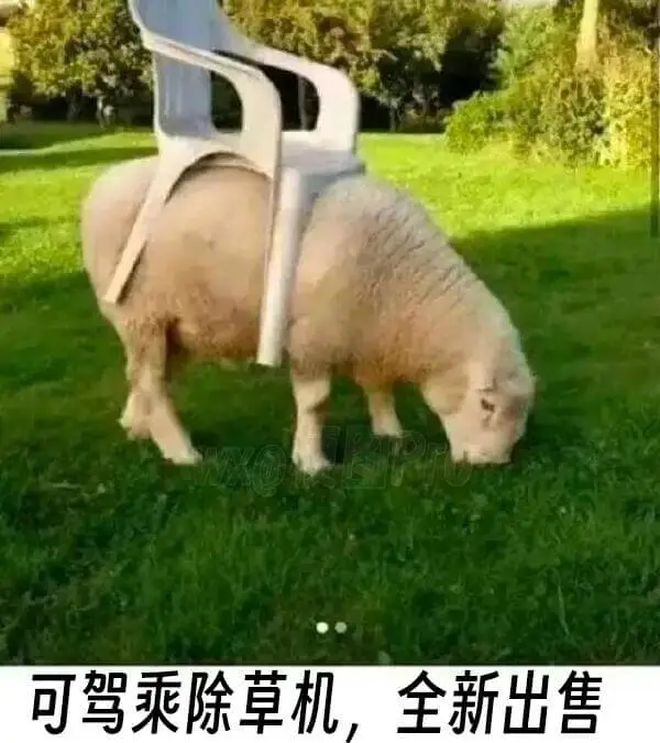 可驾乘除草机，全新出售